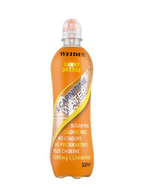 L-Carnitine Drink 500ml